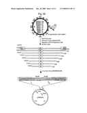 DNA-transfection system for the generation of infectious influenza virus diagram and image