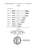 DNA-transfection system for the generation of infectious influenza virus diagram and image