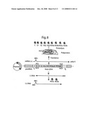 DNA-transfection system for the generation of infectious influenza virus diagram and image