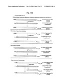 DNA-transfection system for the generation of infectious influenza virus diagram and image