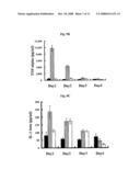 ATTENUATED INFLUENZA VIRUS AND A LIVE VACCINE COMPRISING THE SAME diagram and image