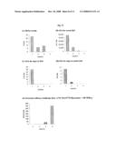 ATTENUATED INFLUENZA VIRUS AND A LIVE VACCINE COMPRISING THE SAME diagram and image