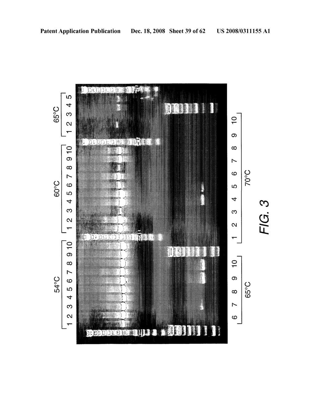 Strain-Independent Amplification of Pathogens and Vaccines Thereto - diagram, schematic, and image 40