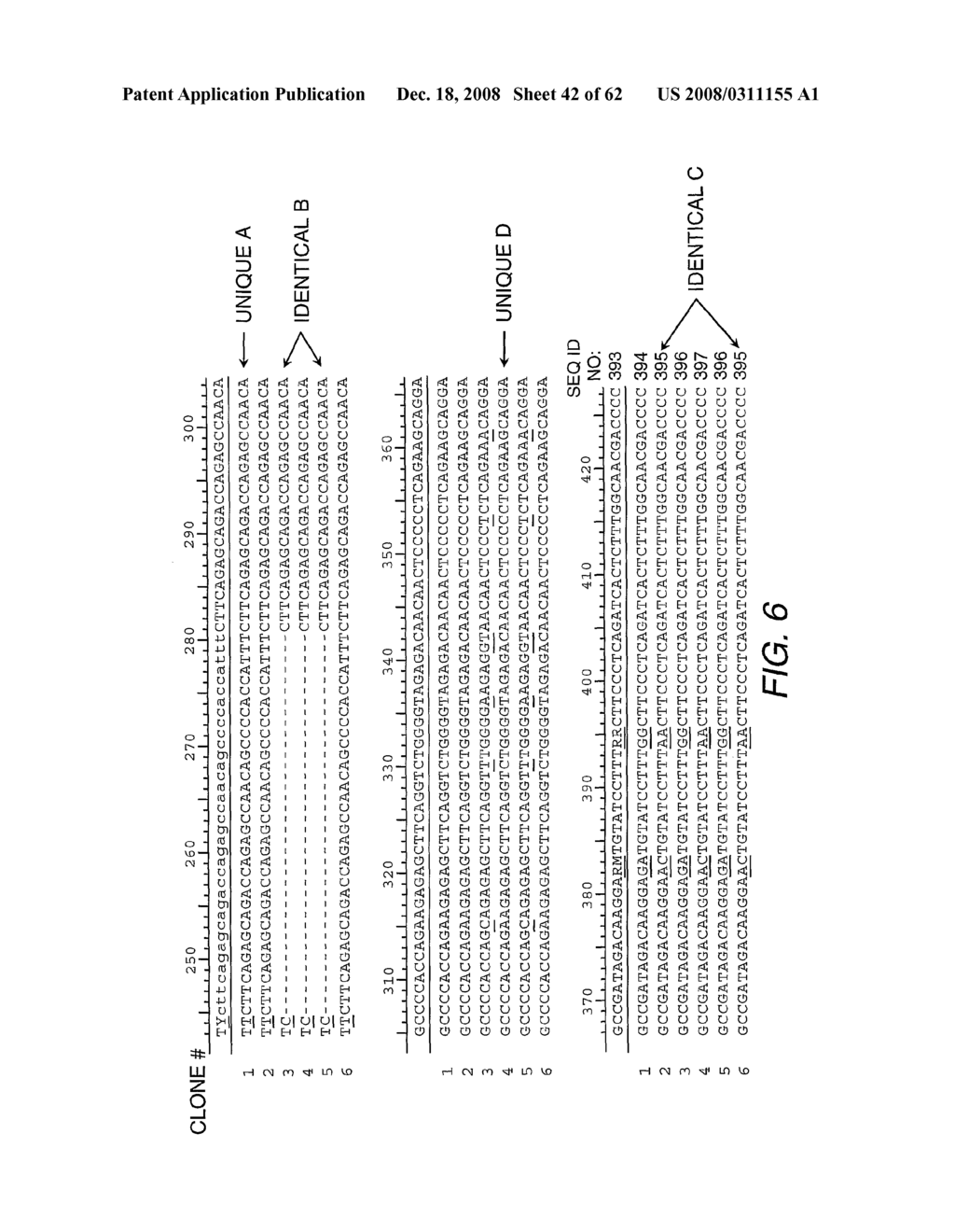 Strain-Independent Amplification of Pathogens and Vaccines Thereto - diagram, schematic, and image 43