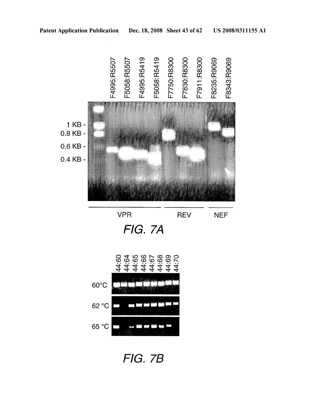 Strain-Independent Amplification of Pathogens and Vaccines Thereto - diagram, schematic, and image 44