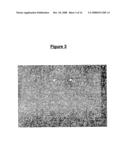 TOPICAL COMPOSITIONS COMPRISING NANOPARTICLES OF AN ISOFLAVONE diagram and image