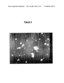 TOPICAL COMPOSITIONS COMPRISING NANOPARTICLES OF AN ISOFLAVONE diagram and image