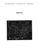 TOPICAL COMPOSITIONS COMPRISING NANOPARTICLES OF AN ISOFLAVONE diagram and image