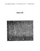 TOPICAL COMPOSITIONS COMPRISING NANOPARTICLES OF AN ISOFLAVONE diagram and image