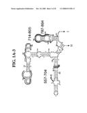 Methods For Rapid Identification Of Pathogens In Humans And Animals diagram and image