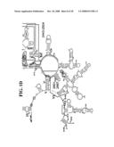 Methods For Rapid Identification Of Pathogens In Humans And Animals diagram and image