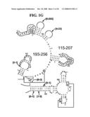 Methods For Rapid Identification Of Pathogens In Humans And Animals diagram and image