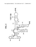 Methods For Rapid Identification Of Pathogens In Humans And Animals diagram and image