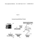 Methods For Rapid Identification Of Pathogens In Humans And Animals diagram and image