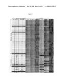 Methods For Rapid Identification Of Pathogens In Humans And Animals diagram and image