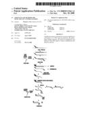 Sequences and Methods for Detection of Cytomegalovirus diagram and image