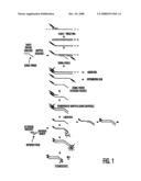 Sequences and Methods for Detection of Cytomegalovirus diagram and image