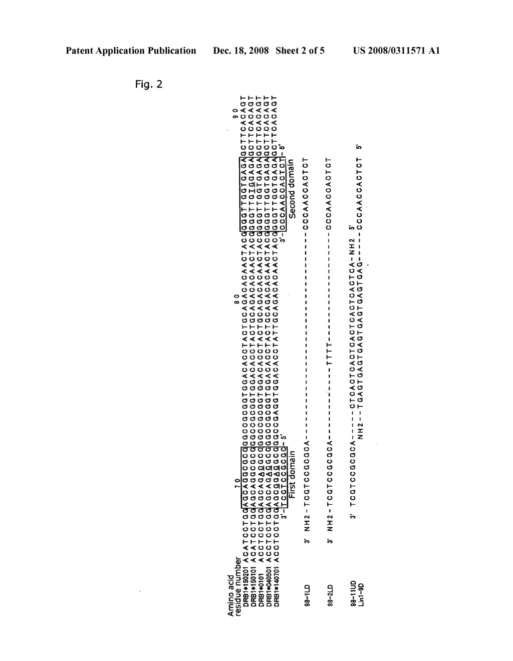 Nucleic Acid Fragments for Detecting Nucleic Acid and Method for Detecting Nucleic Acid - diagram, schematic, and image 03