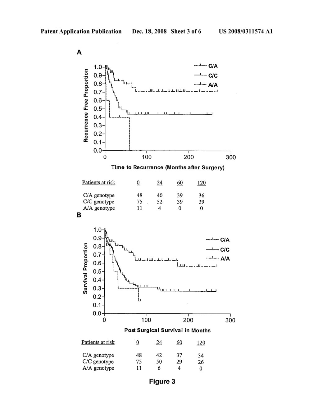 Novel Missense Mutations and Single Nucleotide Polymorphisms in the Rabphillin-3A-Like Gene and Uses Thereof - diagram, schematic, and image 04