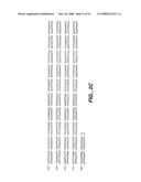 POLYPEPTIDES AND NUCLEIC ACIDS ENCODING SAME diagram and image