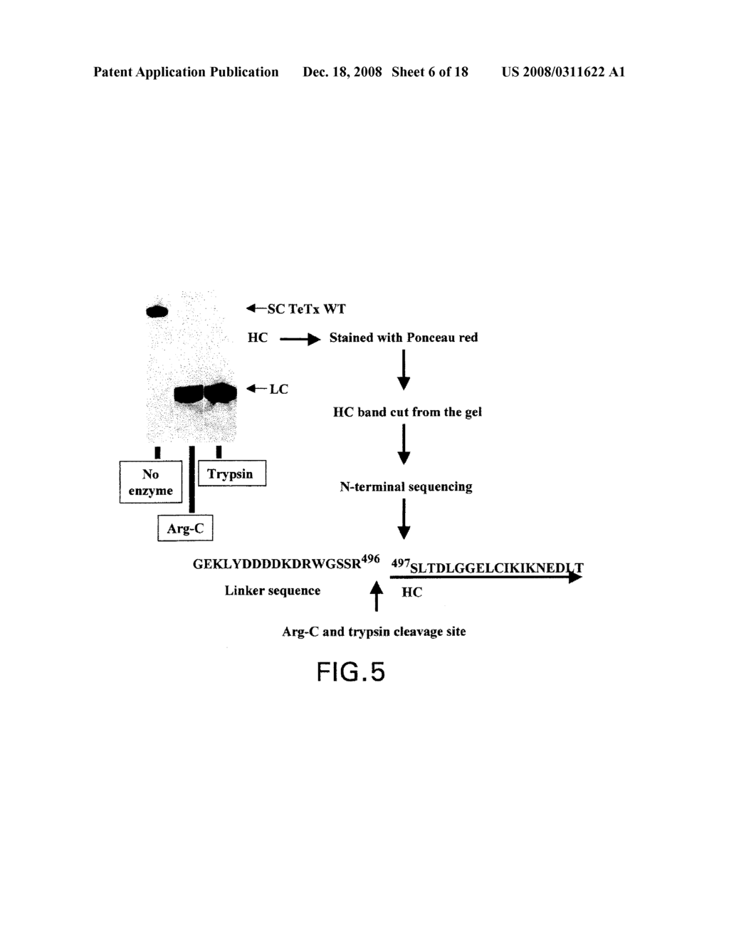 ACTIVATABLE RECOMBINANT NEUROTOXINS - diagram, schematic, and image 07