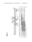 Chicken leukemia inhibitory factor (LIF) and gnne thereof diagram and image