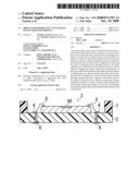 Process for producing a functional device-mounted module diagram and image