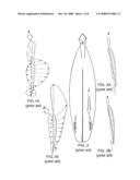 LOW-DRAG FIN AND FOIL SYSTEM FOR SURFBOARDS diagram and image