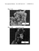 Self Supporting Structurally Engineered Non-Platinum Electrocatalyst for Oxygen Reduction in Fuel Cells diagram and image