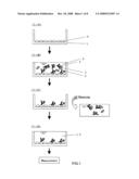 Immunological assay and chip diagram and image