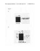 Novel Phage Display Technologies diagram and image