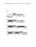 Novel Phage Display Technologies diagram and image