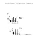 Novel Phage Display Technologies diagram and image