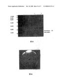 Fibrinolysin of Agkistrodon Acutus Venom and its Usage diagram and image