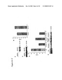 PHOSPHOINOSITIDE MODULATION FOR THE TREATMENT OF ALZHEIMER S DISEASE diagram and image