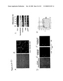 PHOSPHOINOSITIDE MODULATION FOR THE TREATMENT OF ALZHEIMER S DISEASE diagram and image
