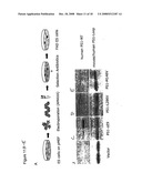 PHOSPHOINOSITIDE MODULATION FOR THE TREATMENT OF ALZHEIMER S DISEASE diagram and image