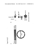 PHOSPHOINOSITIDE MODULATION FOR THE TREATMENT OF ALZHEIMER S DISEASE diagram and image