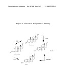 6-SUBSTITUTED ESTRADIOL DERIVATIVES AND METHODS OF USE diagram and image