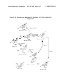 6-SUBSTITUTED ESTRADIOL DERIVATIVES AND METHODS OF USE diagram and image