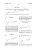 G-Protein Coupled Receptor (Gpr116) Agonists and Use Thereof for Treating Obesity and Diabetes diagram and image