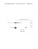 Cysteine-containing peptide tag for site-specific conjugation of proteins diagram and image