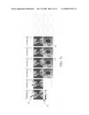 Method to detect change in tissue measurements diagram and image