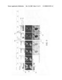 Method to detect change in tissue measurements diagram and image