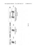 Web Console With Xml/Xsl Interface diagram and image