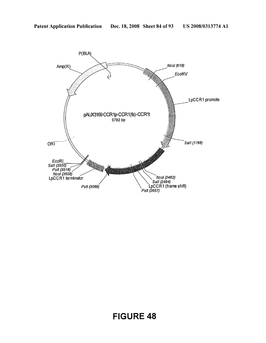 Modification of lignin biosynthesis - diagram, schematic, and image 85