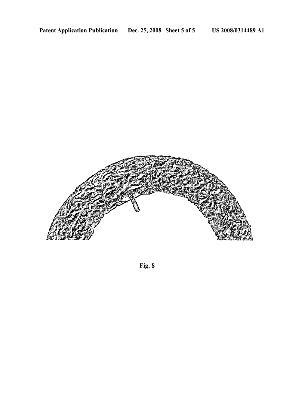 Large-Sized Foam Inner Tube for a Tire - diagram, schematic, and image 06