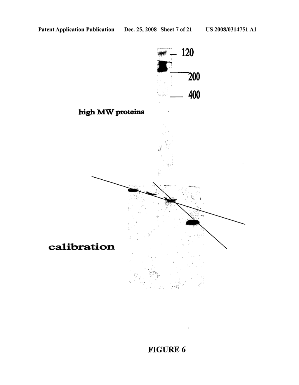 Electrophoretic Separation of Analytes by Molecular Mass - diagram, schematic, and image 08