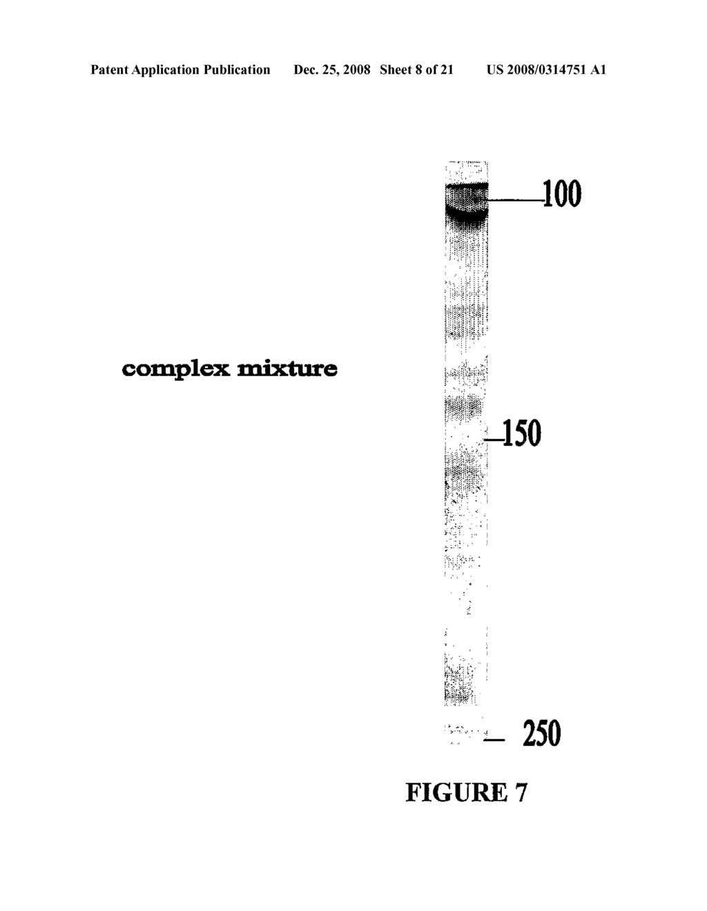 Electrophoretic Separation of Analytes by Molecular Mass - diagram, schematic, and image 09