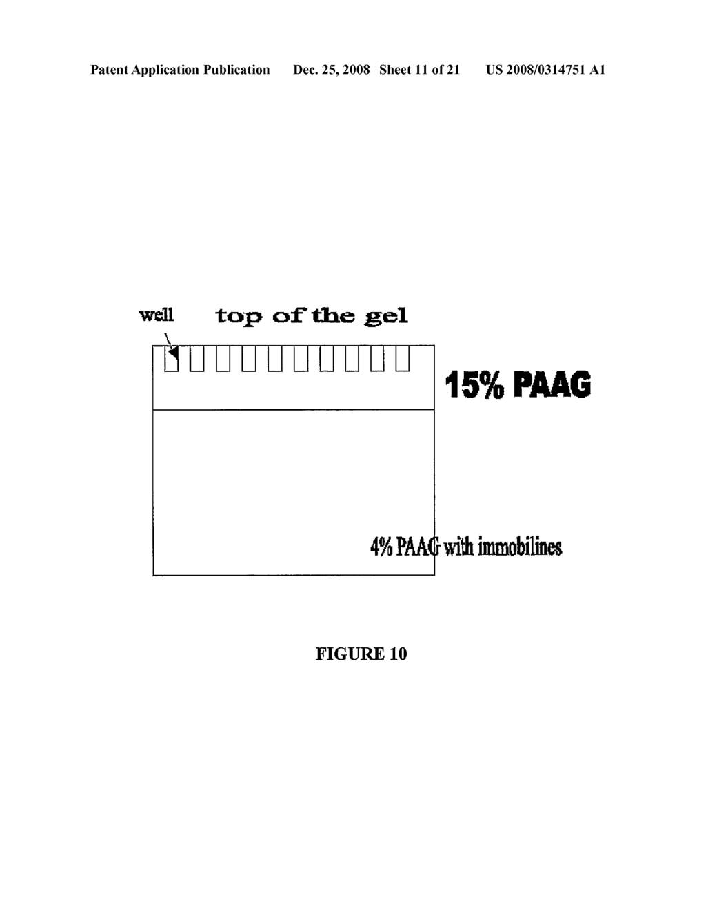 Electrophoretic Separation of Analytes by Molecular Mass - diagram, schematic, and image 12